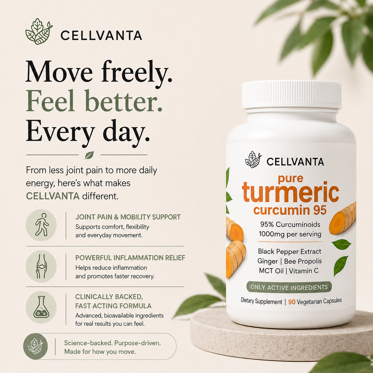 Turmeric Curcumin Capsules (1,000mg)
