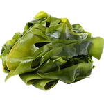 Kelp Extract